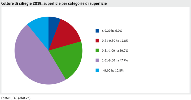 Zoom: ab21_produktion_pflanzli_produktion_grafik_kirschenanbau_flaeche_flaechenkat_2019_i.png